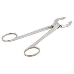 Silver sugar cube tongs