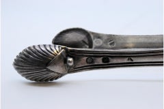 Silver sugar tongs with shell-shaped trim and tongs