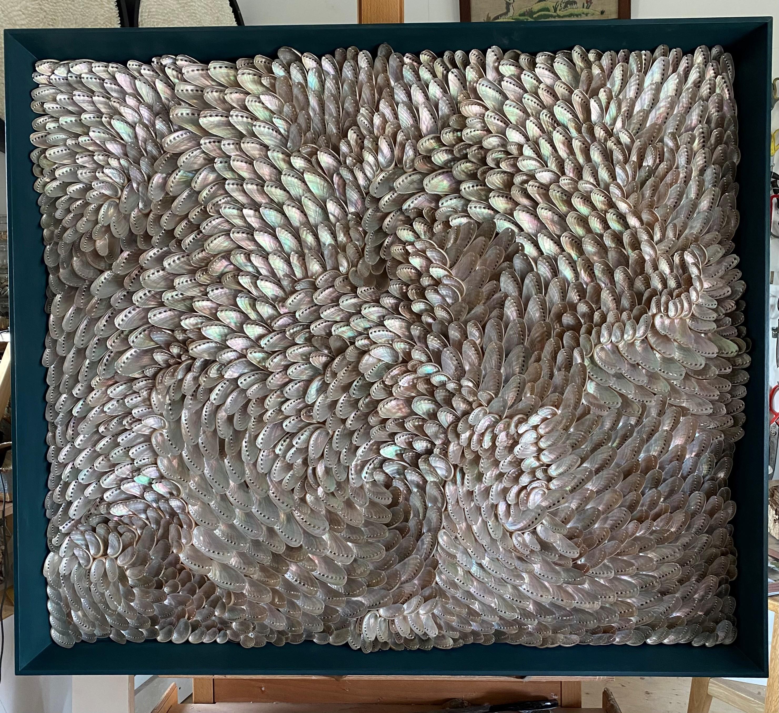 Art piece made with Donkey's Ear Abalone, framed.