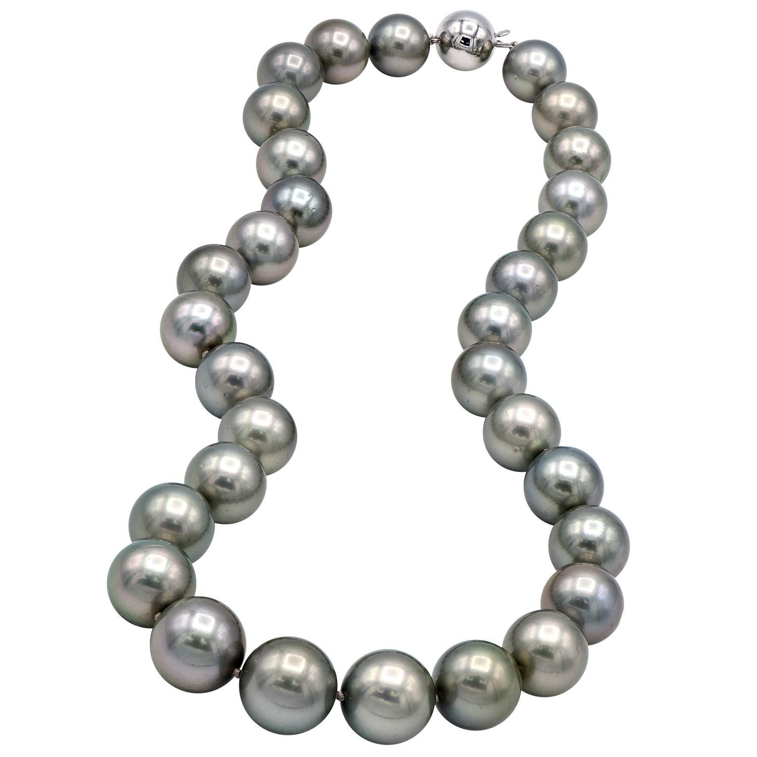 This Tahitian pearl necklace is made from 31 beautiful silver pearls with gorgeous undertones. The pearls are graduated in size from 12.1-14.9mm making a stunning 18 inch strand. The pearls are expertly strung with a double knot in between each