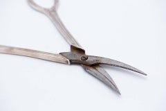 Silver toenail scissors with raised handles