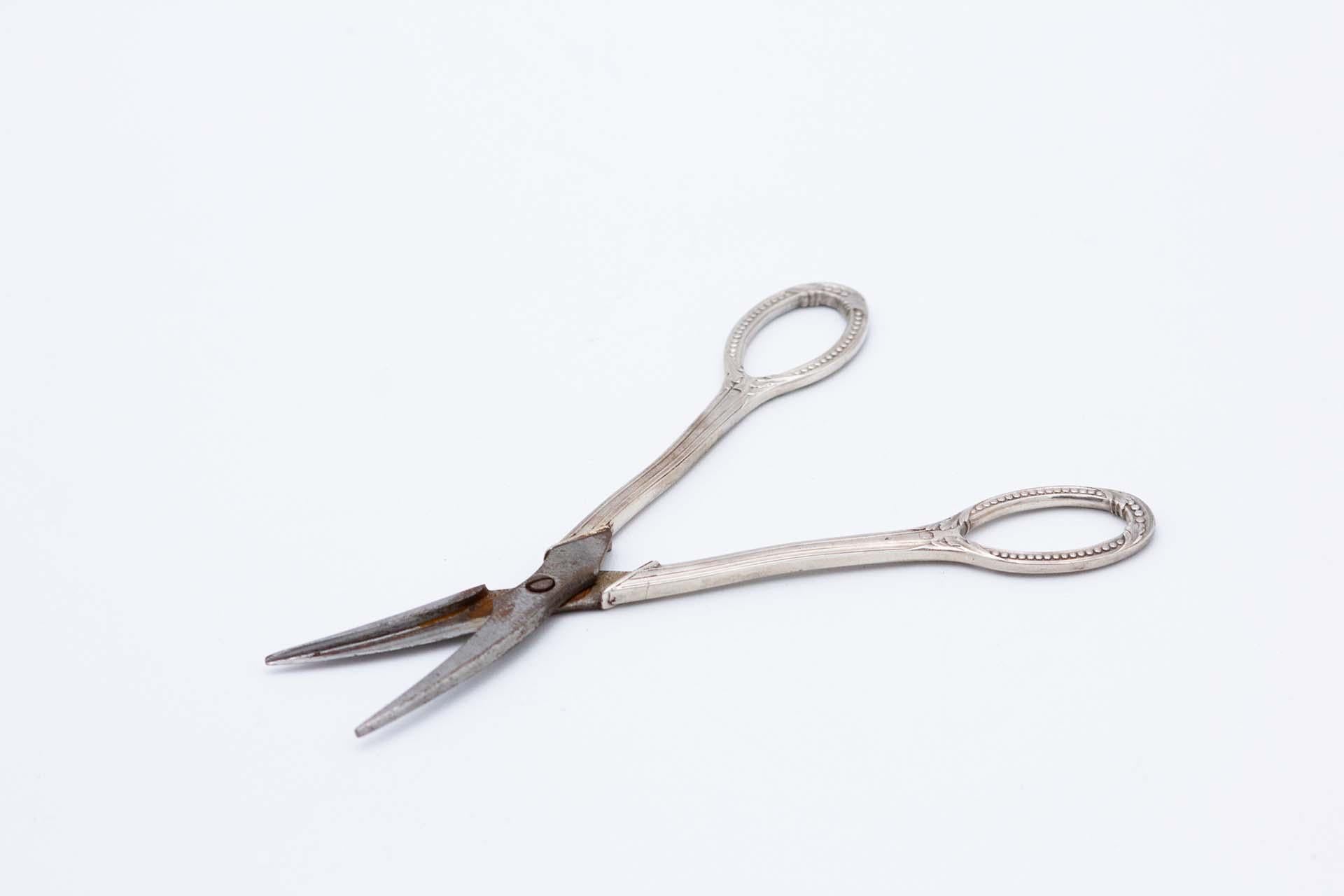 Silver toenail scissors with raised handles