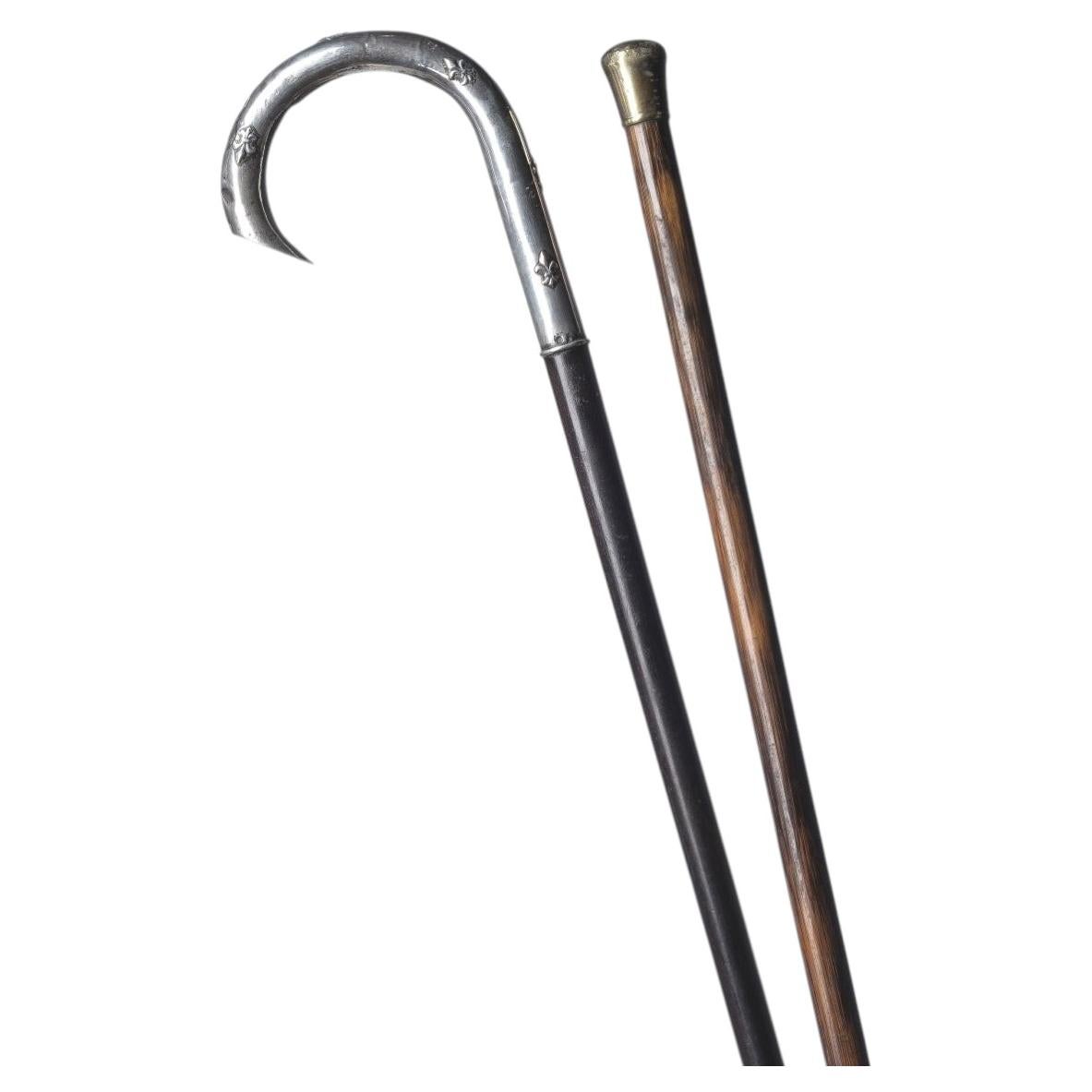 Do walking sticks really help?