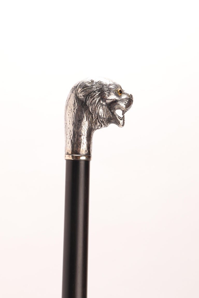 Silver Walking Stick with a Lion, London, 1900 For Sale at 1stDibs