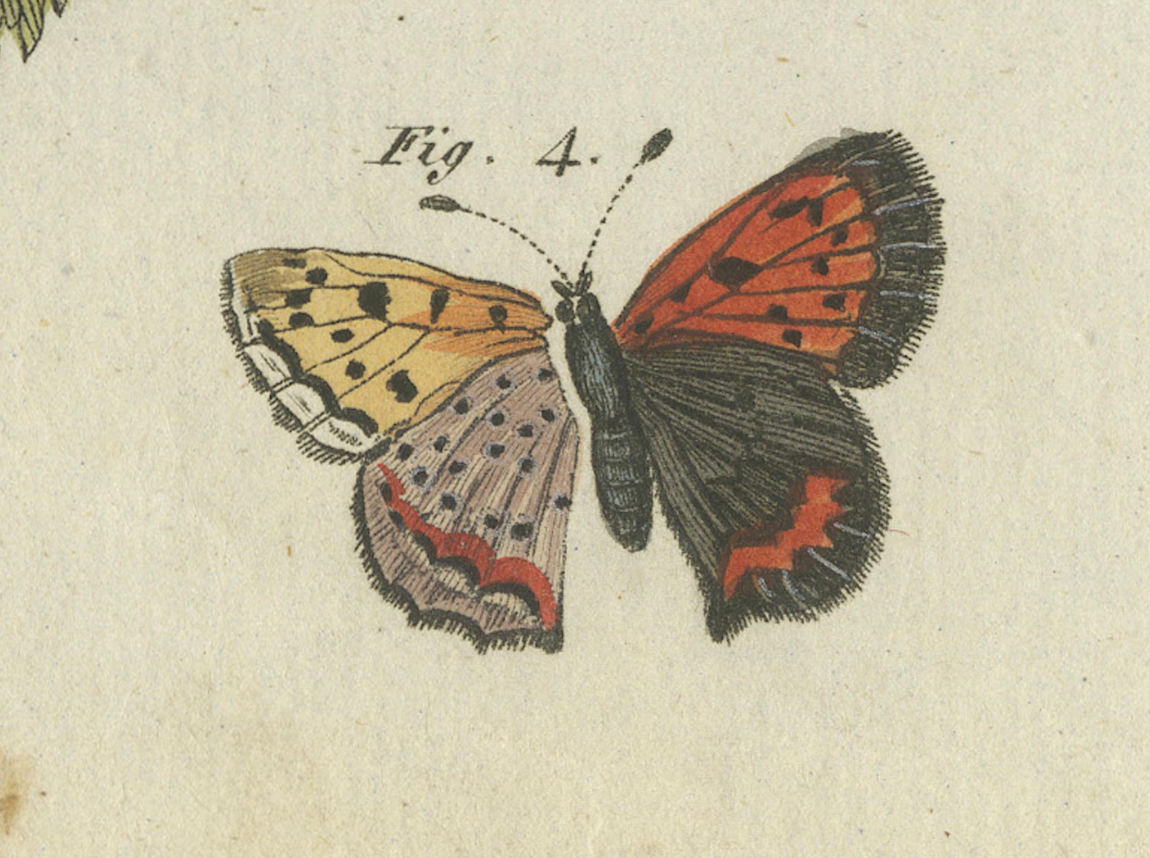 Engraved Silver-Washed Fritillary, Large Blue, Brown Hairstreak, Small Copper Butterflies For Sale