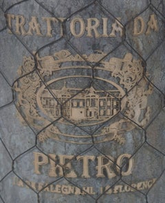 Silver Wire Wrapped Italian Theme Decorative Wine Bottle Jug Vase