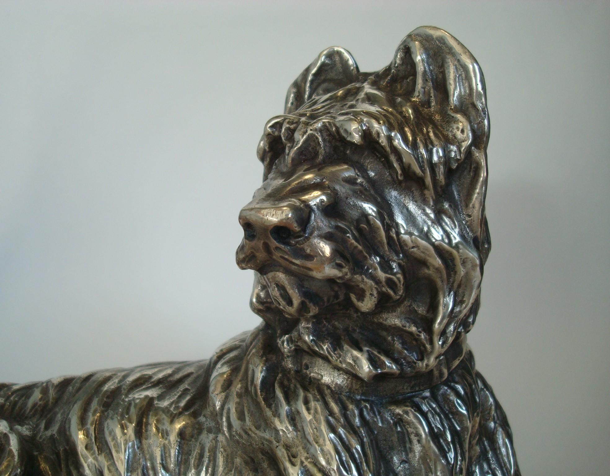 Silvered Bronze Sculpture of a Briard Dog Signed Sanson, France, 1900 2