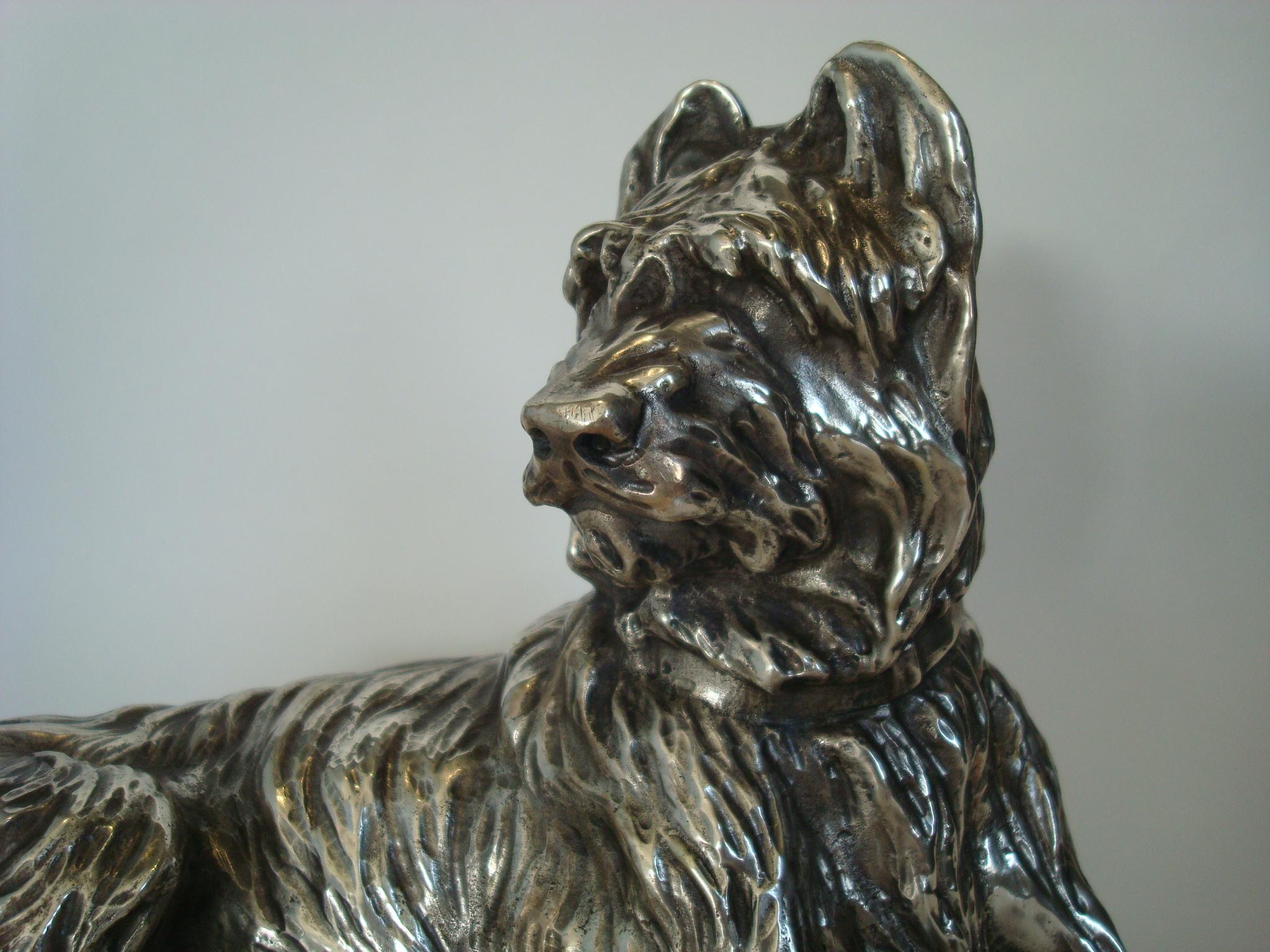 Silvered bronze sculpture of a Briard Dog signed Sanson - France 1900
The Briard packs so much loyalty, love, and spirit into its ample frame that it's often described as a 