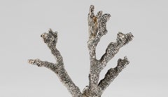 Silvered Coral