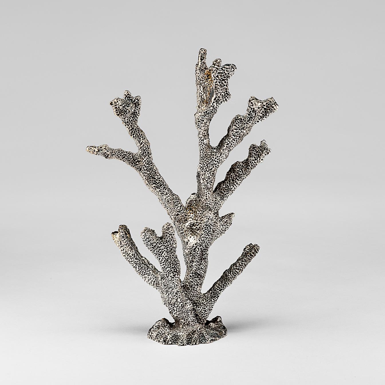 Silvered Coral In New Condition In New York, NY