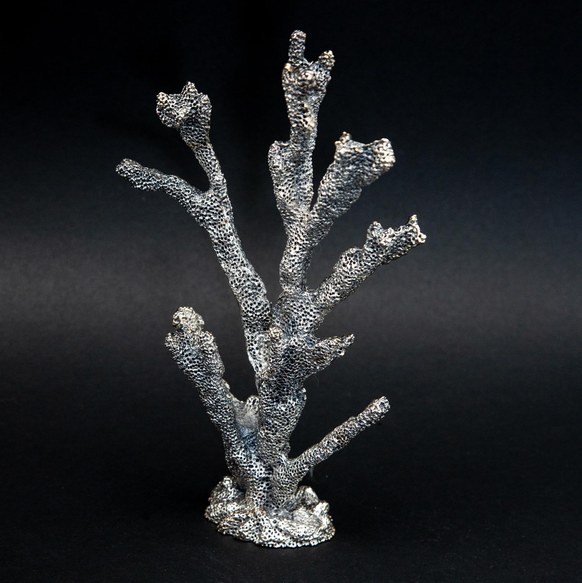Contemporary Silvered Coral