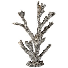 Silvered Coral Silvered Coral