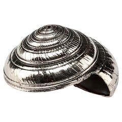 Silvered Sea Shell Architectonica