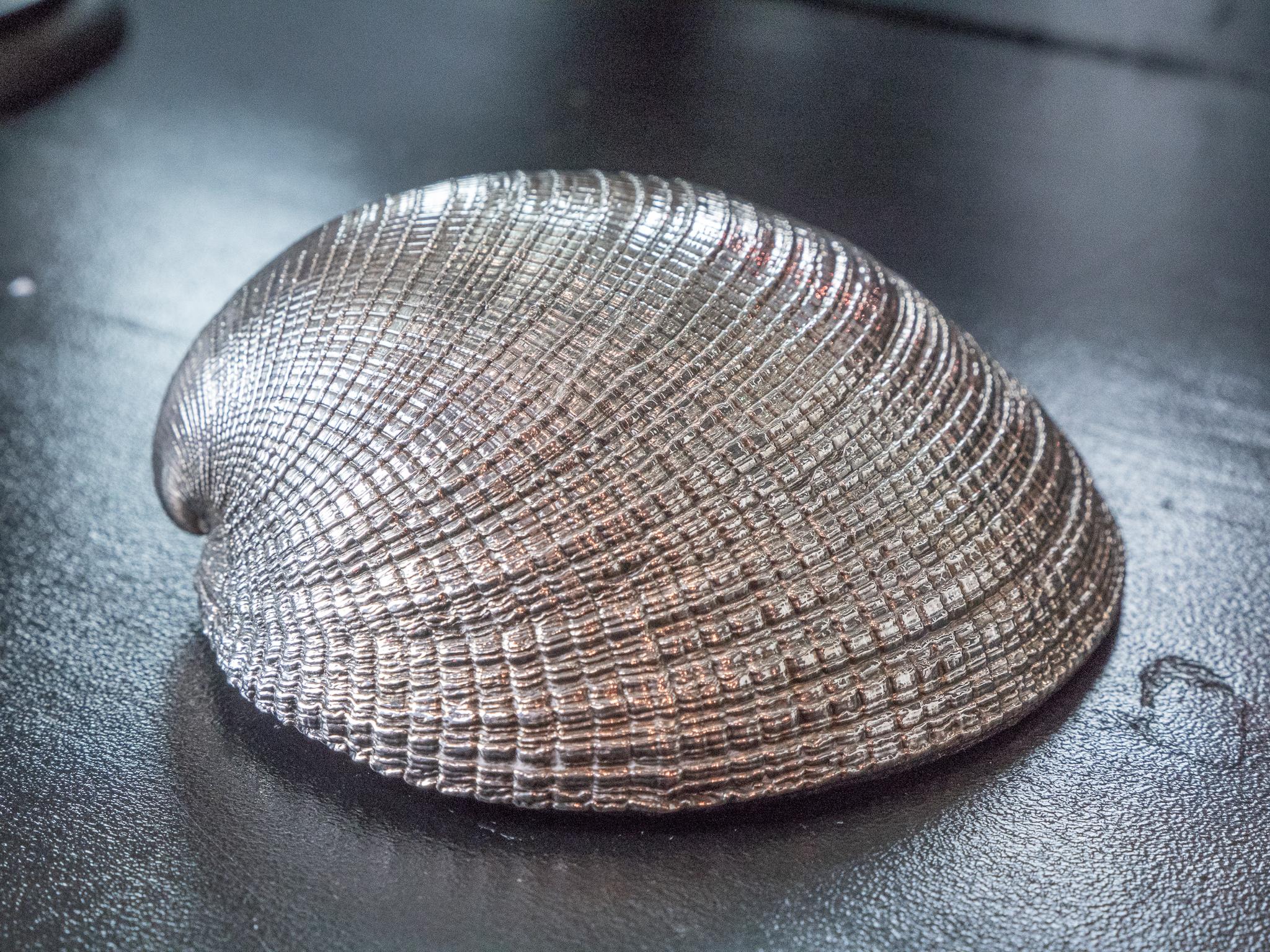 Victorian Silvered Sea Shell Chamelea For Sale