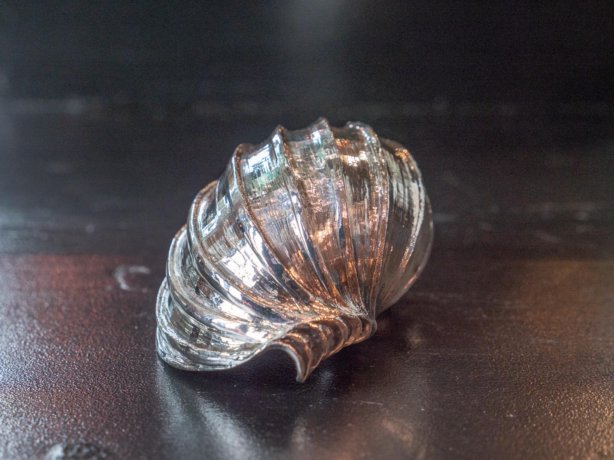 Victorian Silvered Sea Shell Harpa Major For Sale