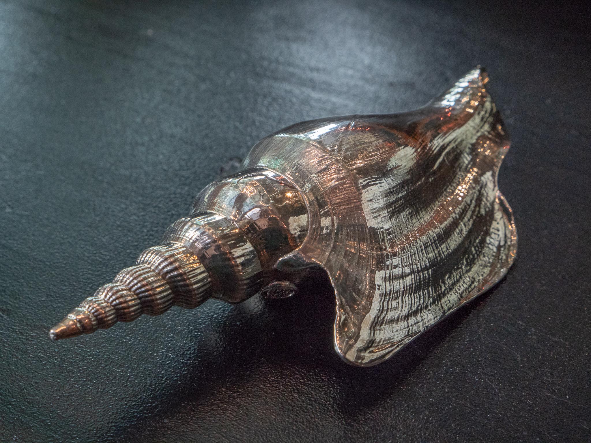 striped silver shell