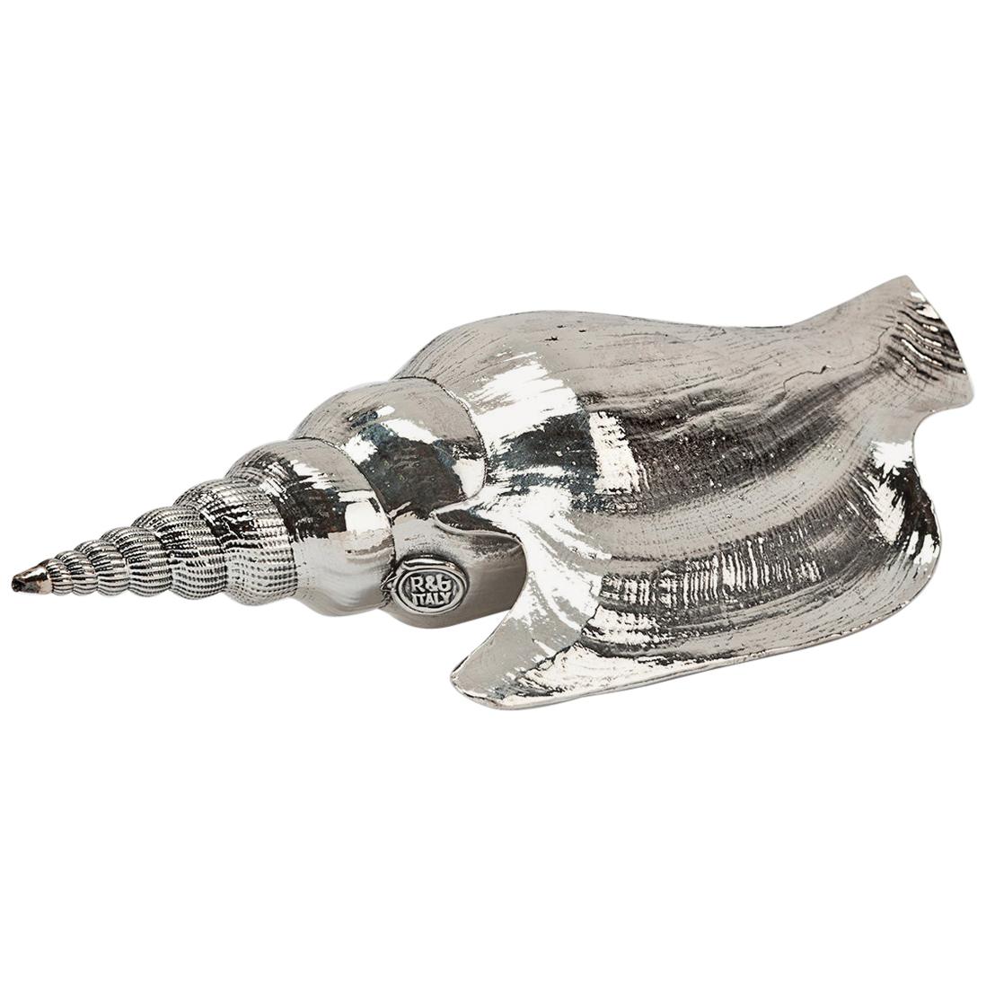 Silvered Sea Shell Lister's Conch