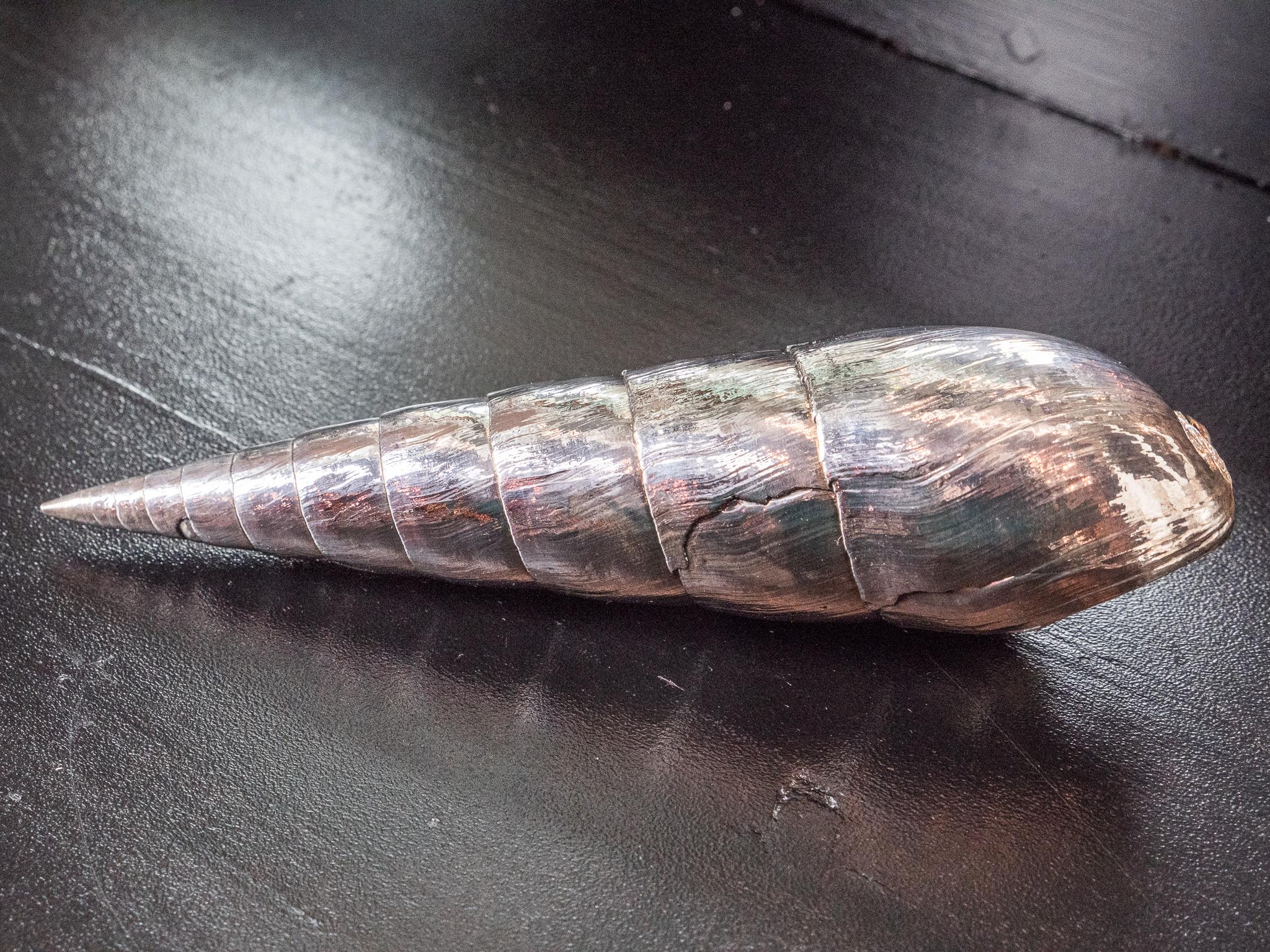 Marlinspike fully silvered shell 7