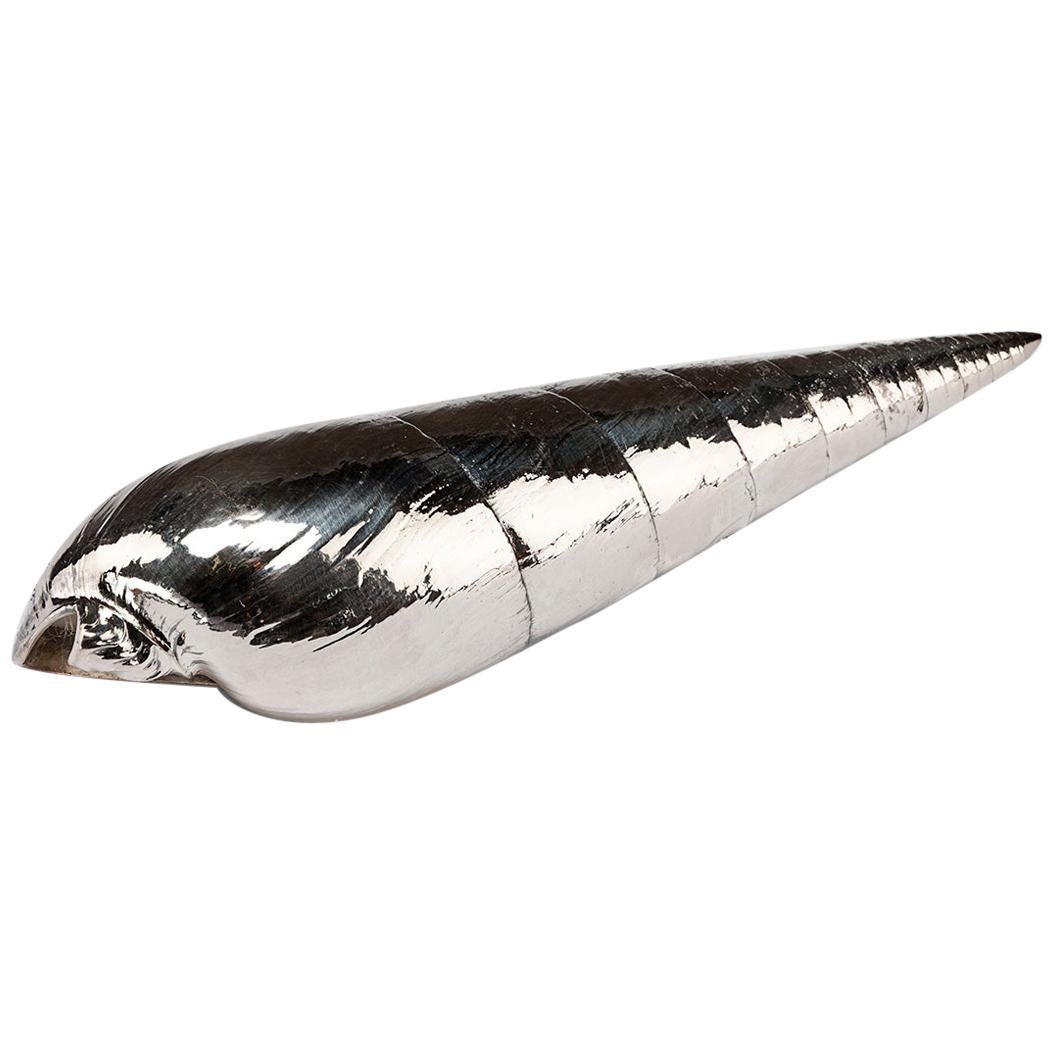 Silvered Sea Shell Marlinspike