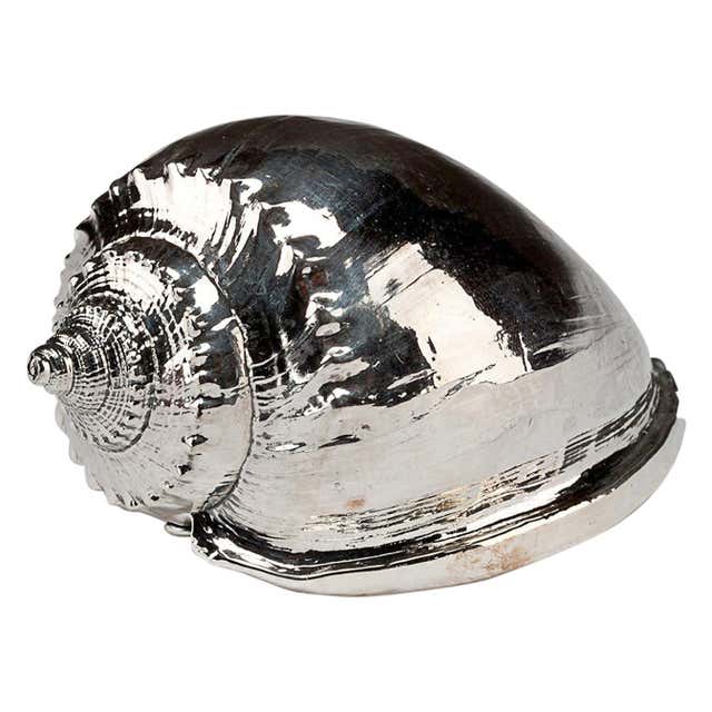 Creel and Gow Silvered Sea Shell Tibia Fusus For Sale at 1stDibs ...