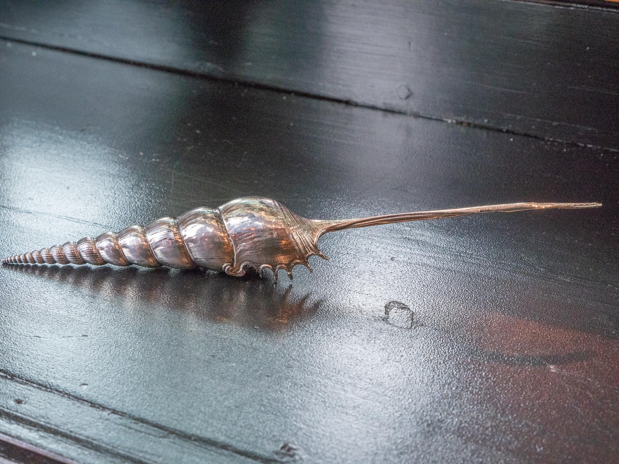 Tibia fusus vollständig versilbertes Muschelhorn. Creel and Gow arbeitet seit über 20 Jahren mit demselben Atelier in Rom, Italien, zusammen, um unsere charakteristischen versilberten Muscheln herzustellen. Unsere Werkstatt wird seit Generationen