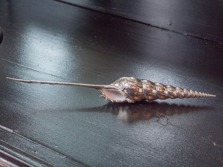 Creel and Gow Silvered Sea Shell Tibia Fusus For Sale at 1stDibs