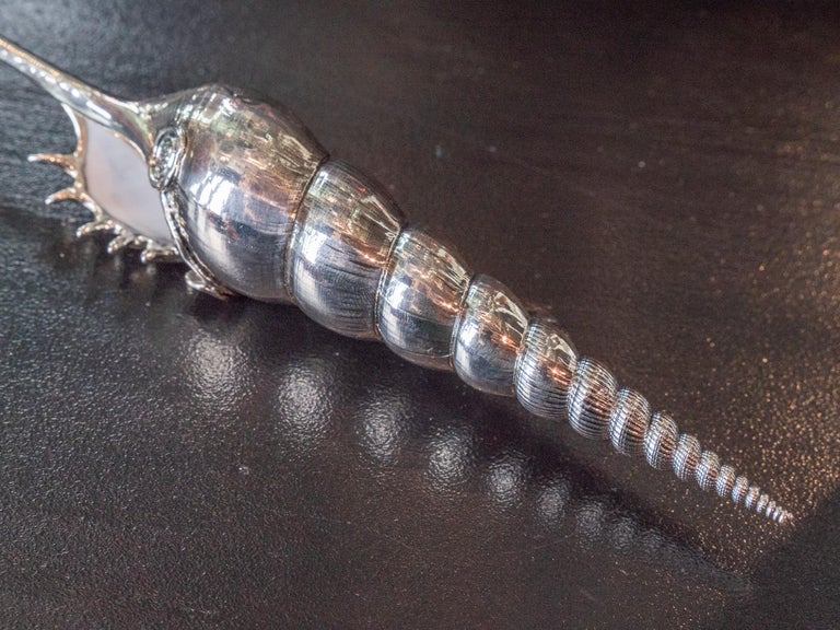 Creel and Gow Silvered Sea Shell Tibia Fusus For Sale at 1stDibs