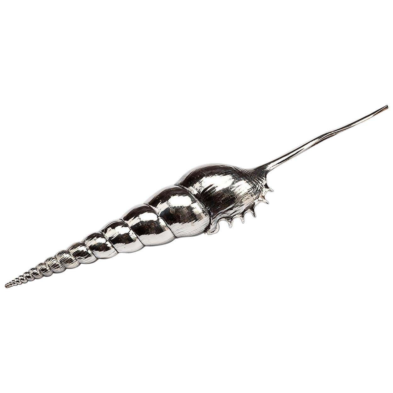 Creel and Gow Silvered Sea Shell Tibia Fusus For Sale at 1stDibs