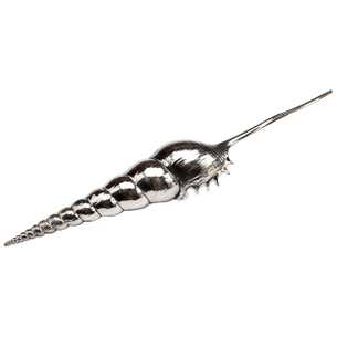 Creel and Gow Silvered Sea Shell Tibia Fusus For Sale at 1stDibs ...