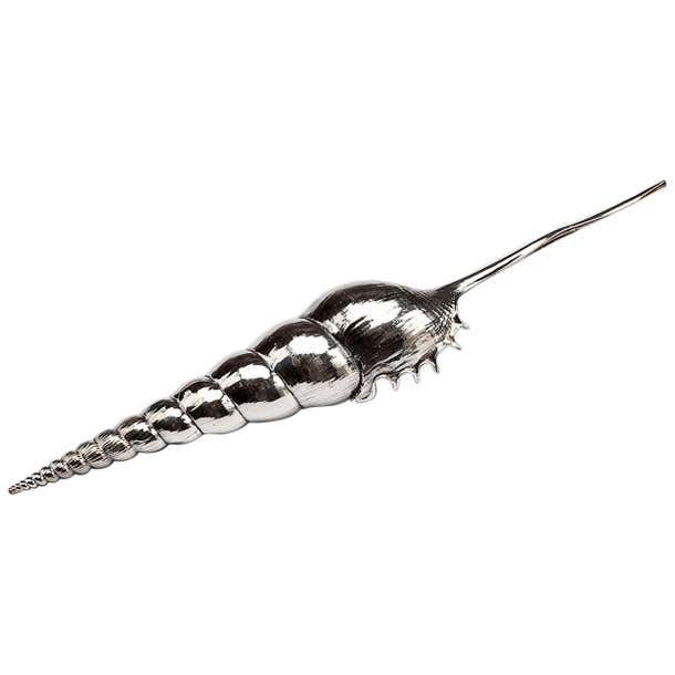 Creel and Gow Silvered Sea Shell Tibia Fusus For Sale at 1stDibs ...