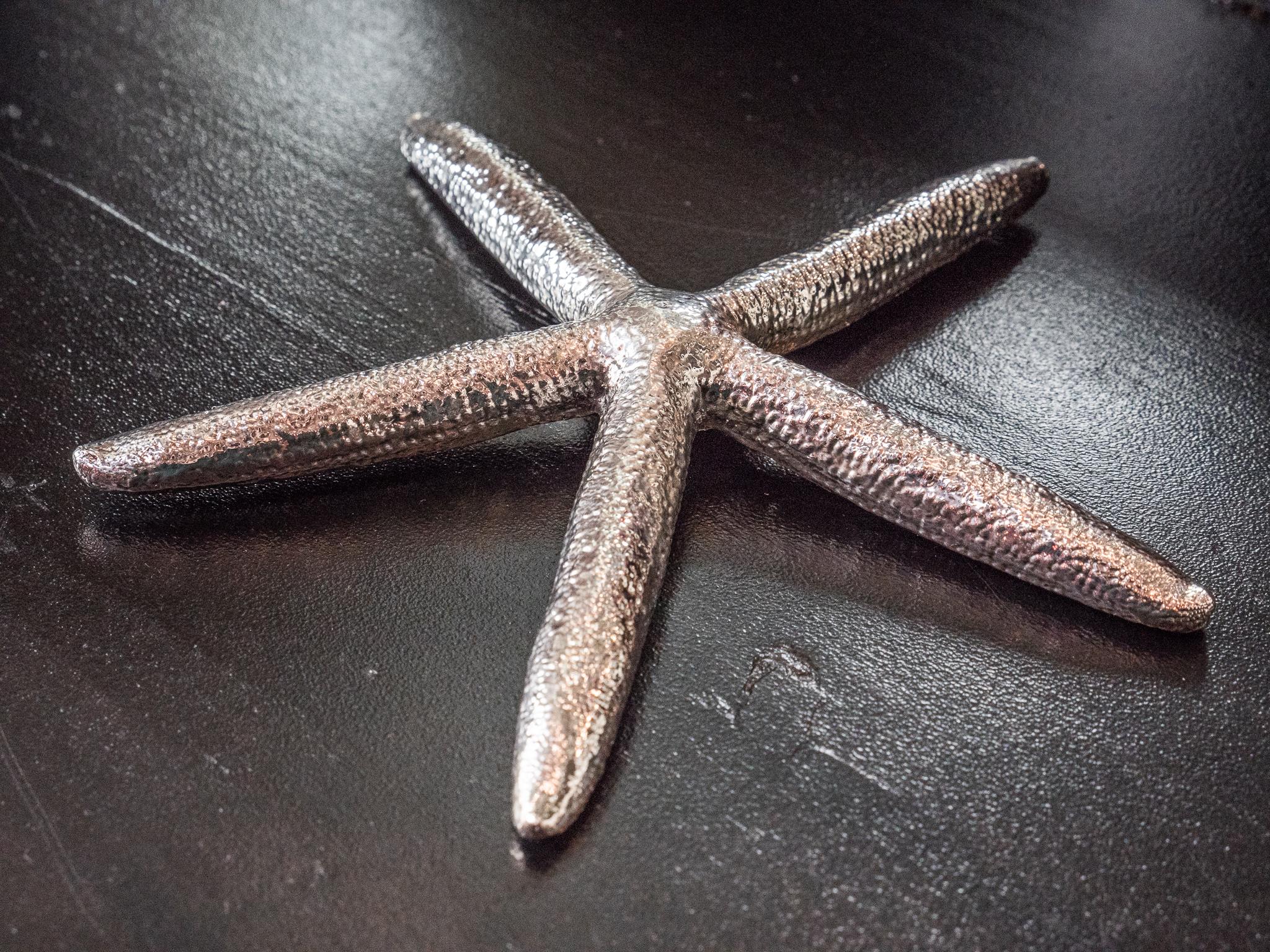 Starfish Edmund silvered 6