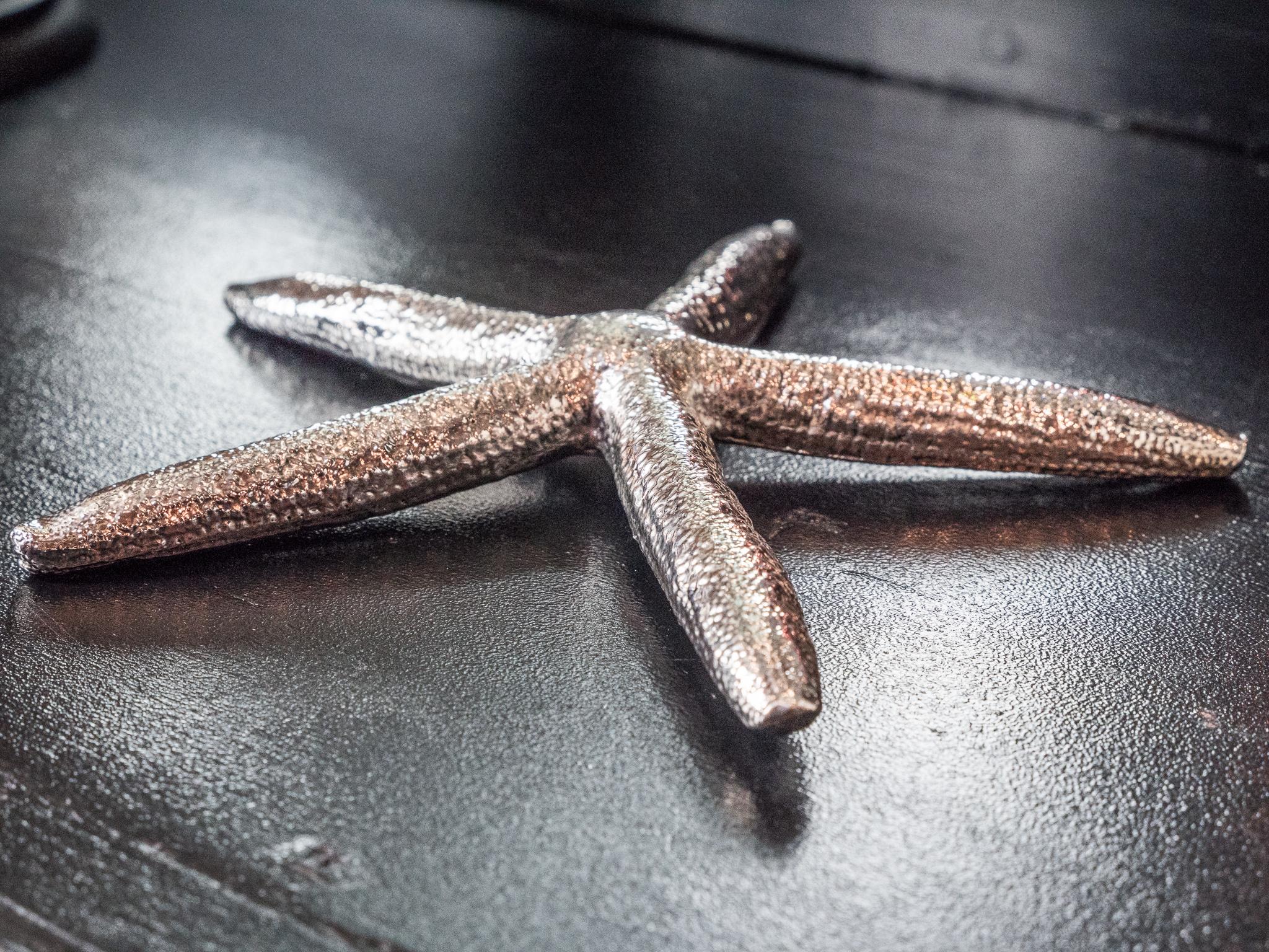 Victorian Silvered Starfish Edmund