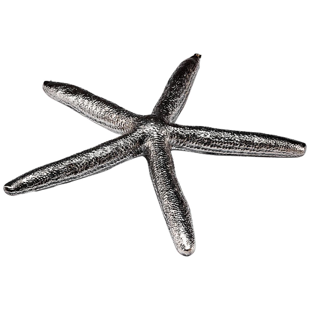 Silvered Starfish Edmund