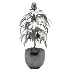 Planta de marihuana o cannabis en maceta Silvered Tole, planta en maceta Park Avenue