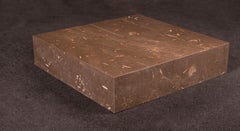 Silvestrin Coffee Table in Jurassic Fossil Stone by NERINEA