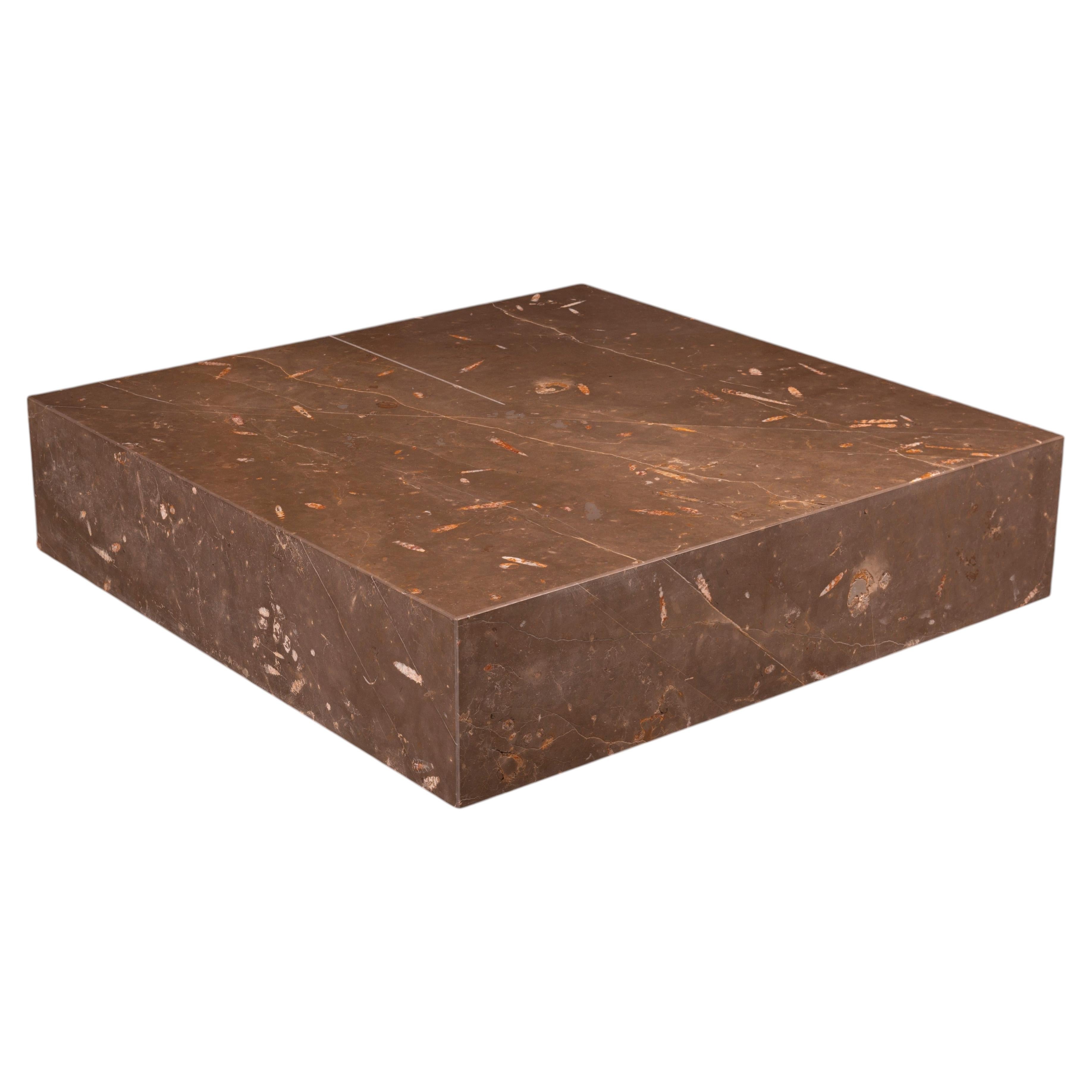 Silvestrin Coffee Table in Jurassic Fossil Stone by NERINEA