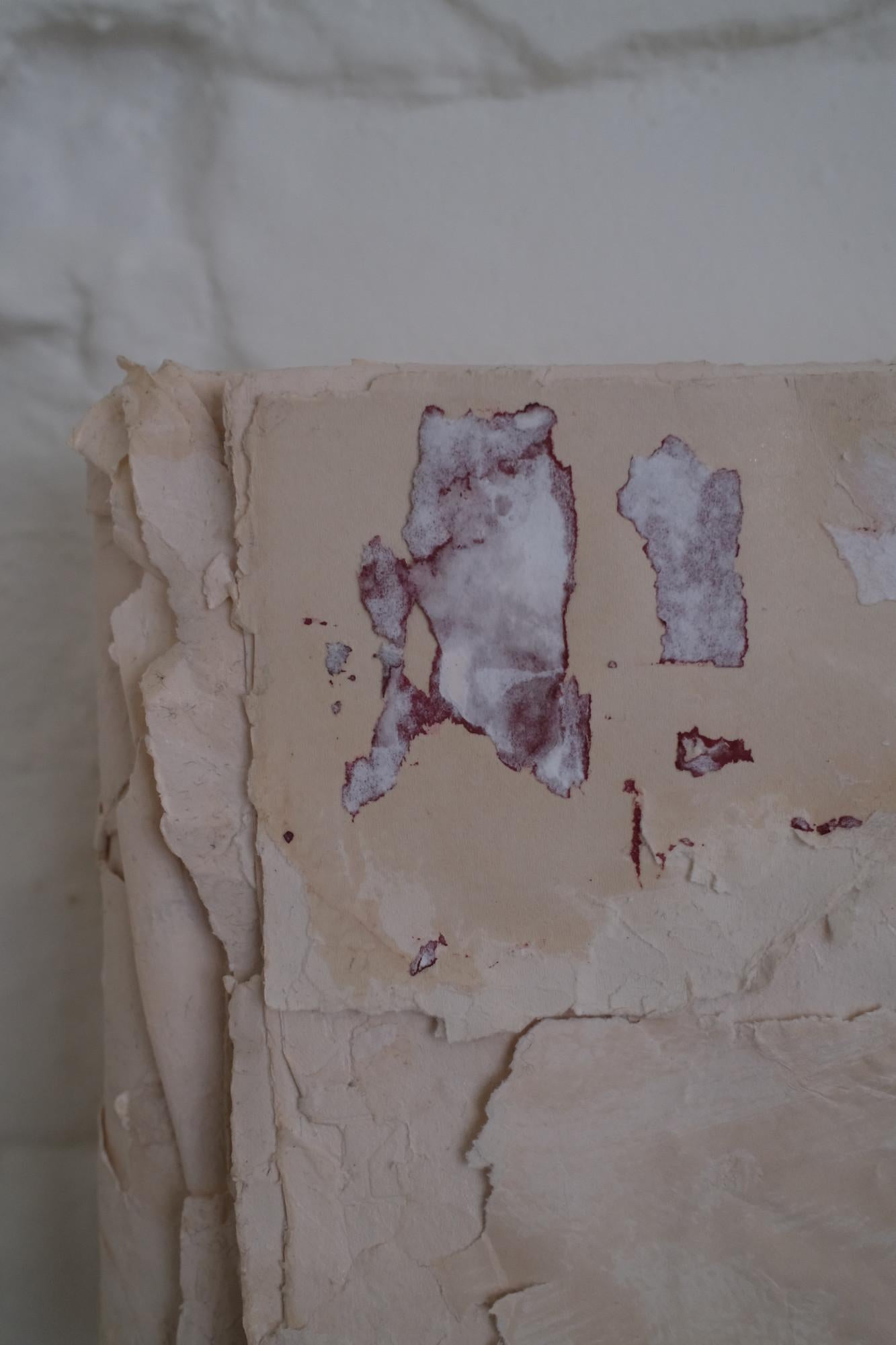 Raw Minimalist Textured Paper Composition in White, 2024 - 'Carte Mute II' - Contemporary Art by Silvia De Marchi
