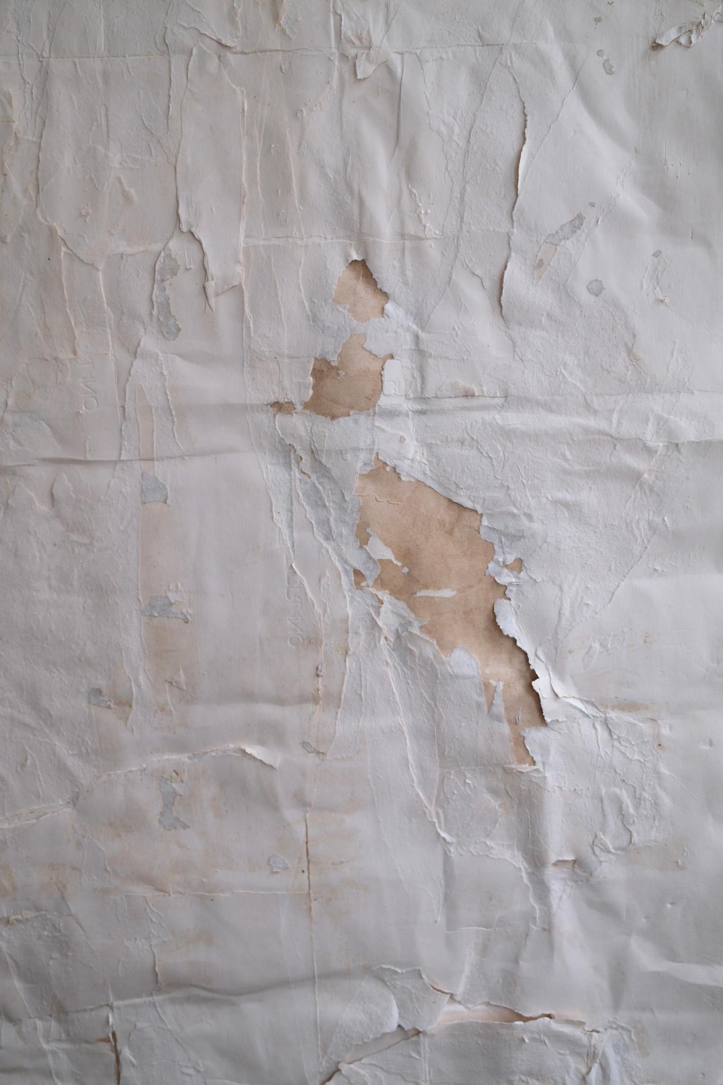 ‍Silvia De Marchi (b. 1967, Melzo, Italy) is an Italian painter currently based in Italy and represented by the Grège Gallery. Her artistic practice reflects a deep exploration of materiality and sensory experience, moving beyond mere visual