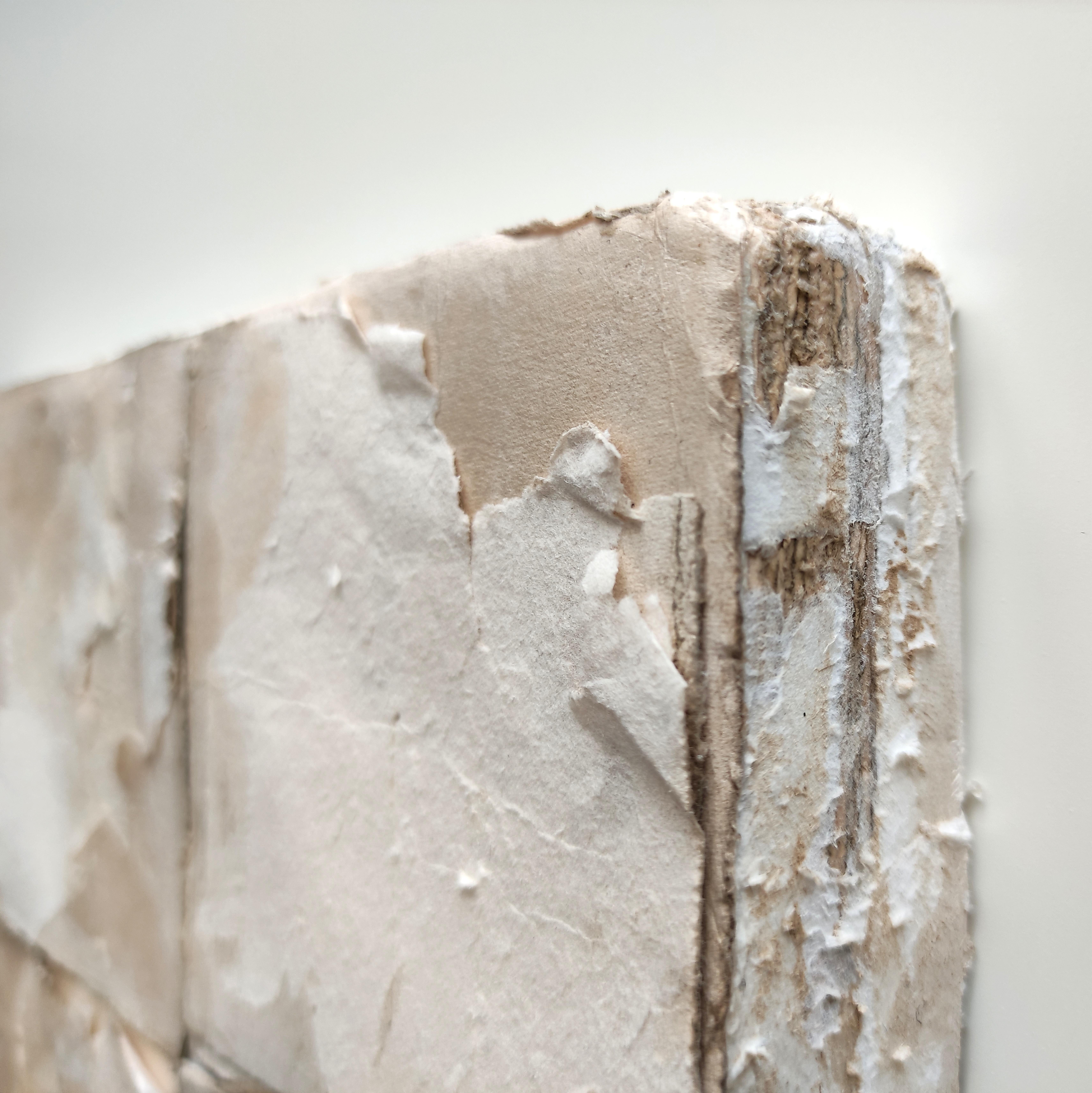 ABSTRACT Weißes Kreuzblumengemälde Textur der italienischen Künstlerin Silvia De Marchi 2023 im Angebot 1