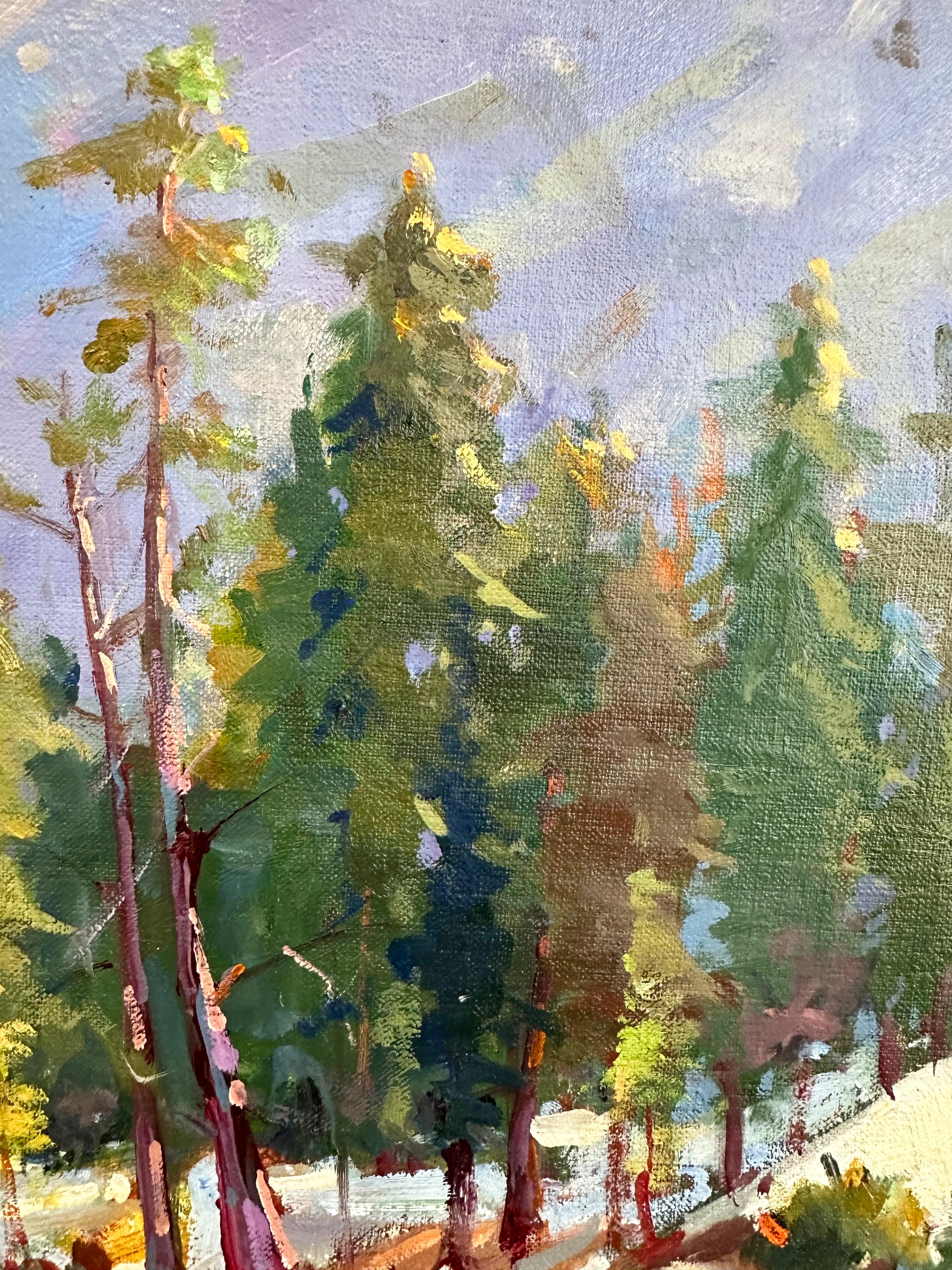 Wood Silvio Silvestri, “Spring Thaw, Lake Tahoe”, En Plein Air Oil Painting, 2004 For Sale