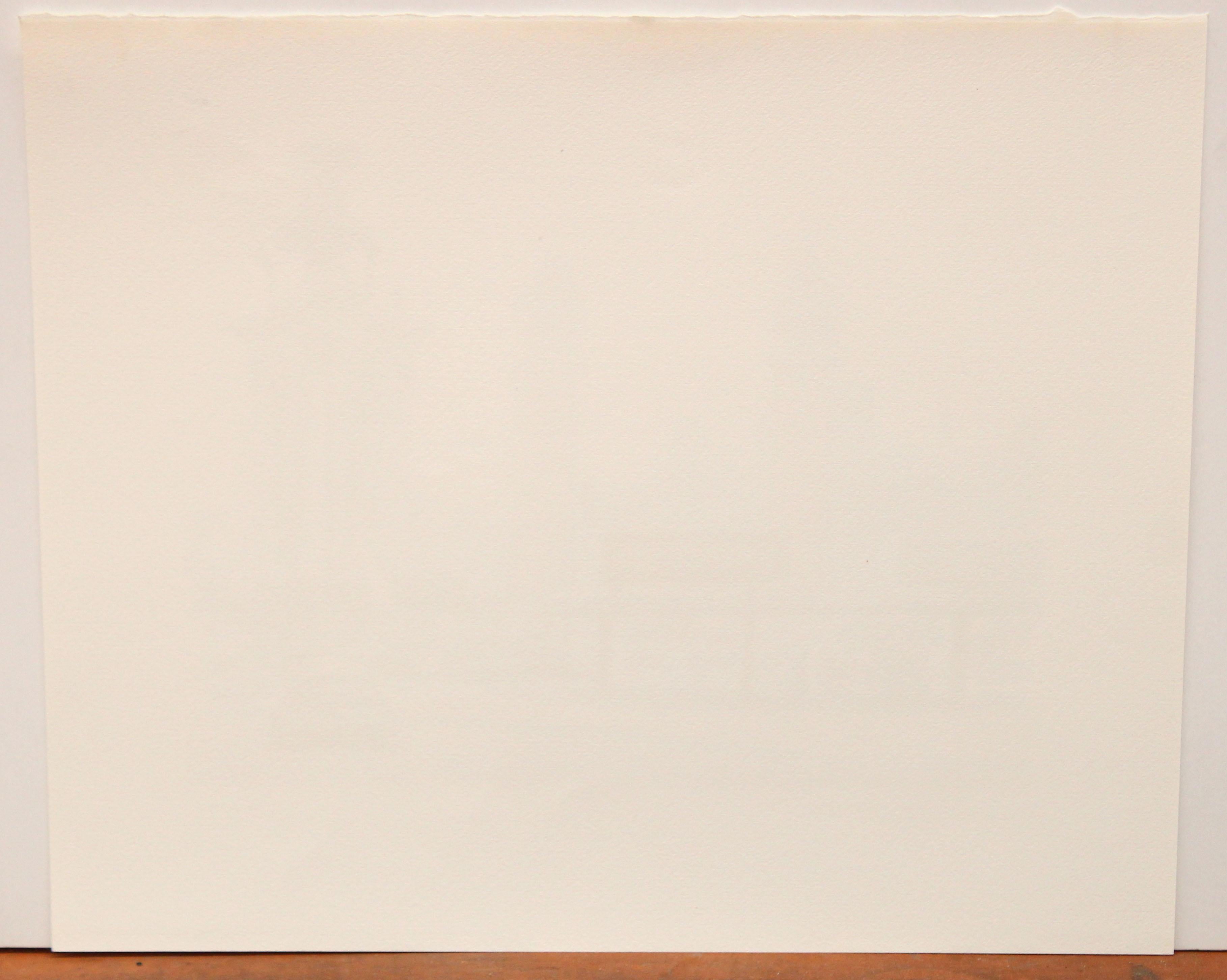 Firmada a lápiz por el artista en la parte inferior y con tiraje 12/250

En buen estado de conservación

Sin enmarcar

Medidas: 49 cm x 58 cm.