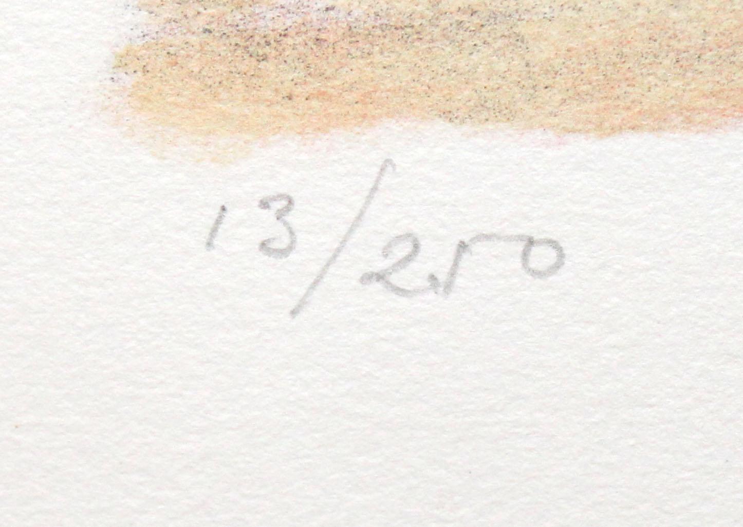 Litografia sobre papel - Pasajes de Barcelona - Tiraje: 13/250 - Landscape Print Blanco de Simó Busom Grau