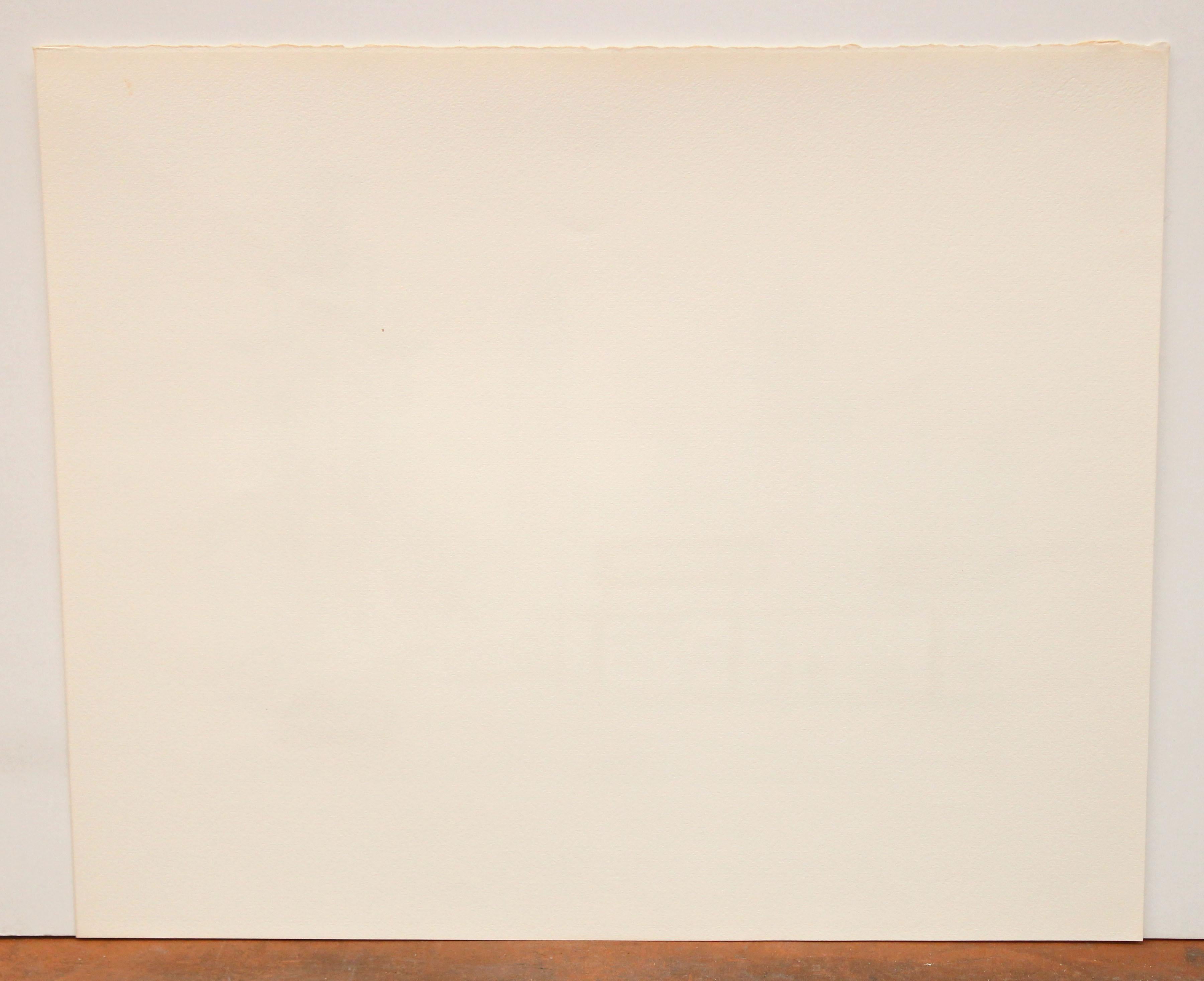 Firmada a lápiz por el artista en la parte inferior y con tiraje 13/250

En buen estado de conservación

Sin enmarcar

Medidas: 49 cm x 58 cm.