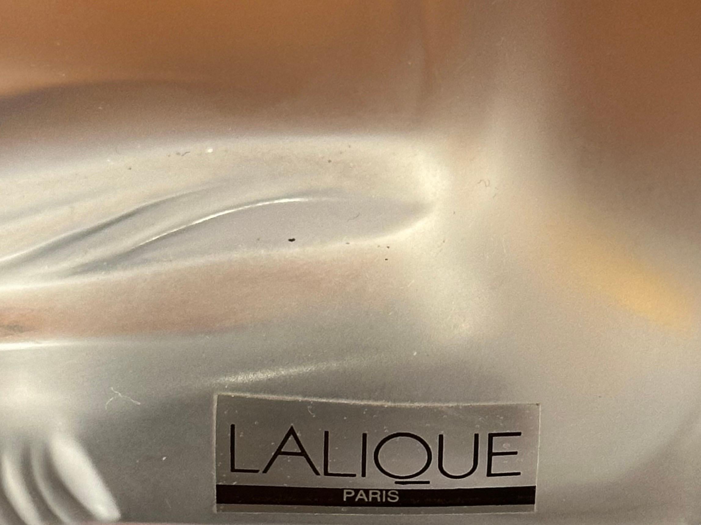 Sculpture de lionne Simba en cristal dépoli par Lalique de France en vente 6