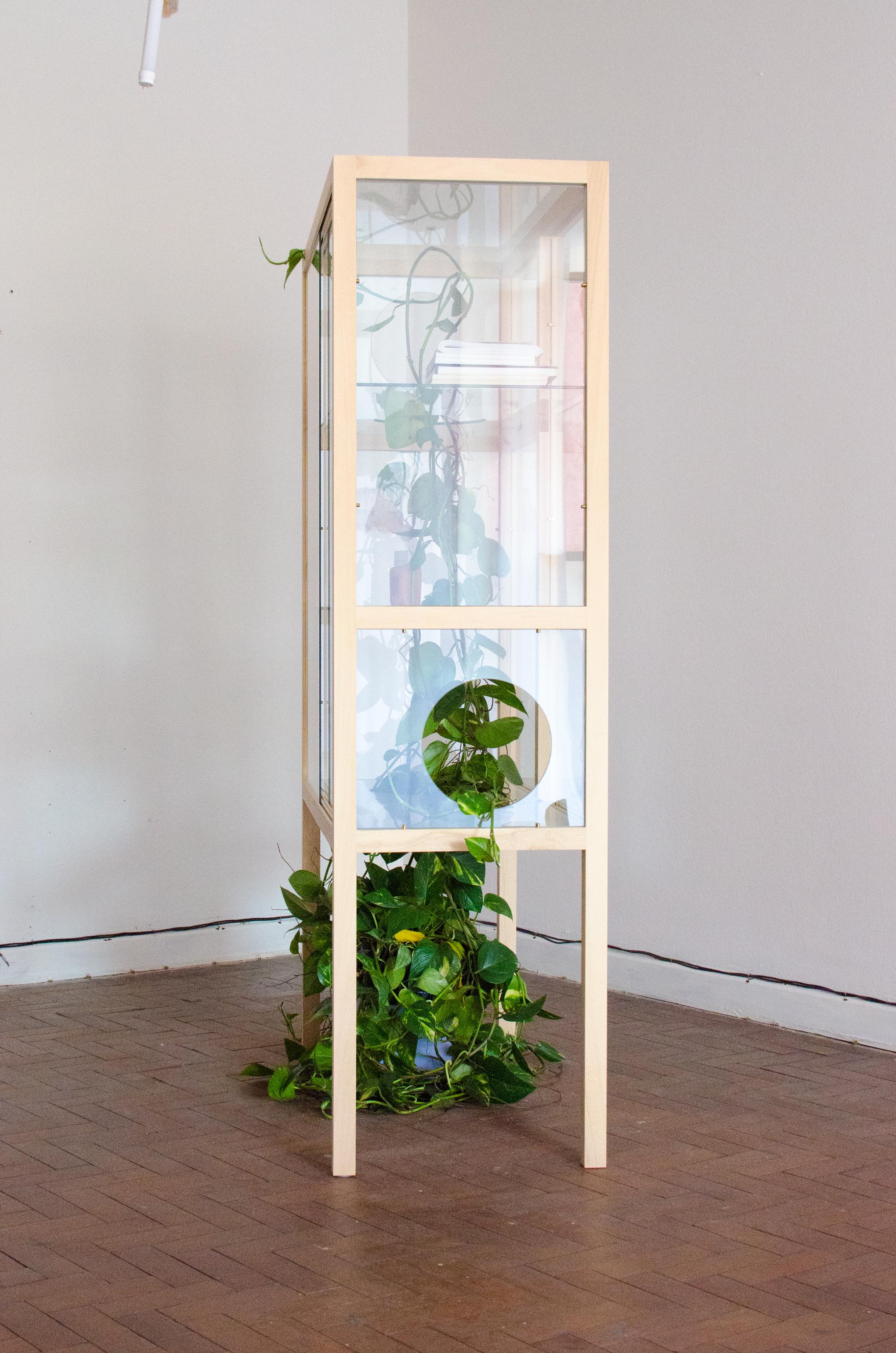 A glass cabinet whose design is inspired by the symbiosis between nature and civilization, and whose aesthetics are controlled by the advance of the plant permeating the furniture's transparencies. 

Ivory wood frame, laser cut glass, brass