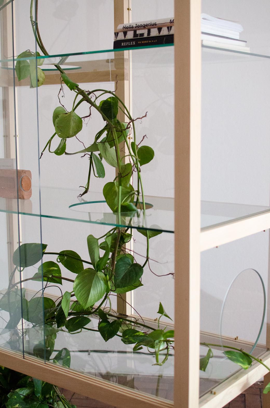 Minimalist Simbiose Glass Cabinet For Sale