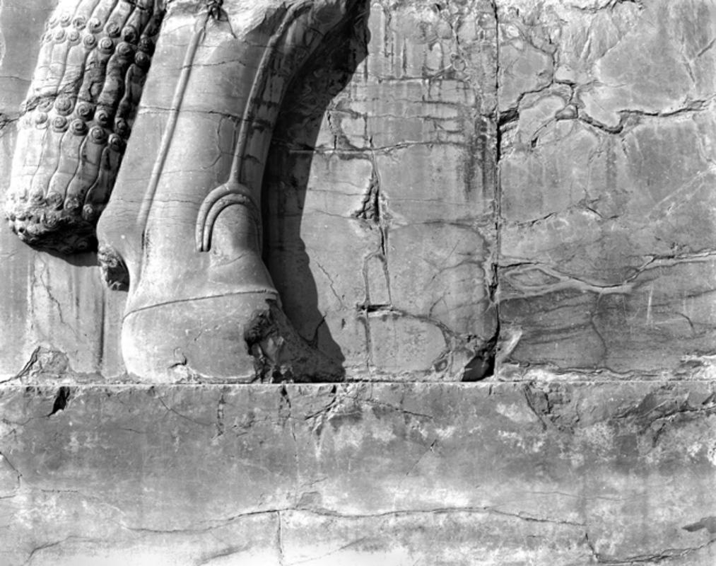 Persepolis - 765915