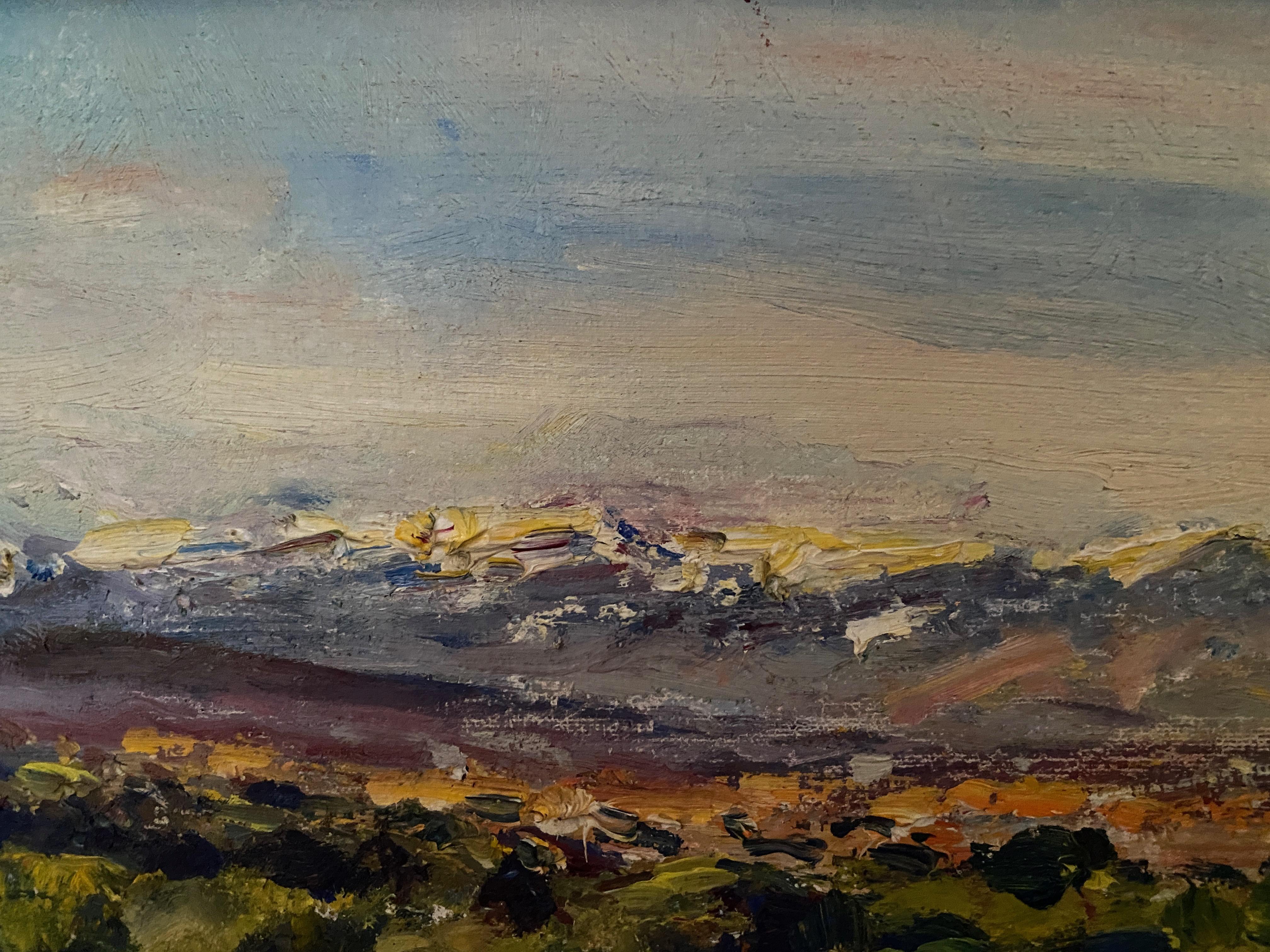 Landscape.
Oil on panel, 23 x 31 cm. Framed 46 x 54 x 6 cm. ( In inches: 9 x 12.2 In / framed 18.11 x 21.26 x 2.36 )
Signed down right angle.

Author Simó Busom (Barcelona- Spain 1927-2020), a landscape painter, trained at the Baixas Academy. He