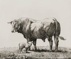 Simon Bull (b. 1958) - Framed 1985 Etching, Limousin Bull and Lamb