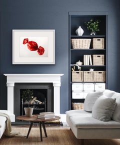 El Rojo, Arte Dulce, Arte Callejero de Calidad, Arte Bodegón, Arte Alimentario